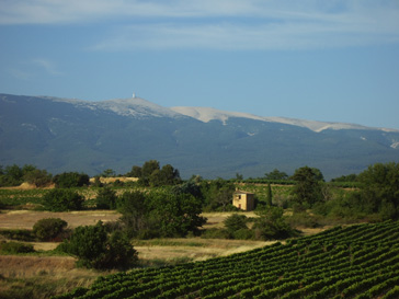 Mt. Ventoux
