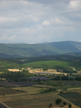 Plateau de Sault 